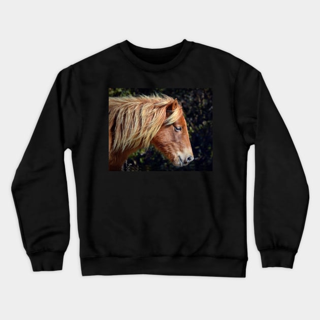 Assateague Pony Portrait Crewneck Sweatshirt by Swartwout